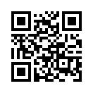 QR CODE 53