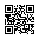 QR CODE 133