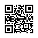 QR CODE 317