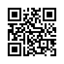QR CODE 329