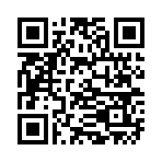 QR CODE 317