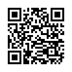 QR CODE 336