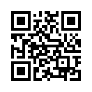 QR CODE 262