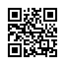 QR CODE 290