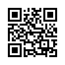 QR CODE 305