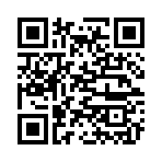 QR CODE 110