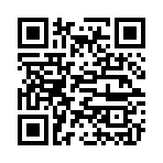 QR CODE 132