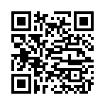 QR CODE 133