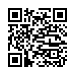 QR CODE 137