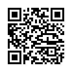 QR CODE 31
