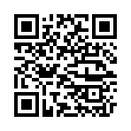 QR CODE 63