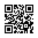 QR CODE 110