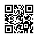 QR CODE 133
