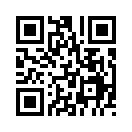 QR CODE 233
