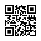 QR CODE 31