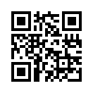 QR CODE 43