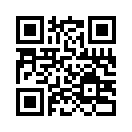 QR CODE 31