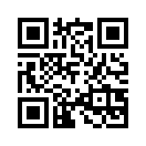 QR CODE 1254