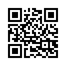QR CODE 993