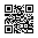 QR CODE 133