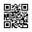 QR CODE 213