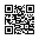 QR CODE 223