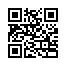 QR CODE 228