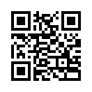 QR CODE 233