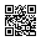 QR CODE 256