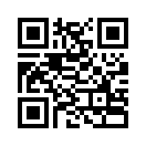 QR CODE 293