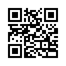 QR CODE 305