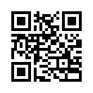 QR CODE 316