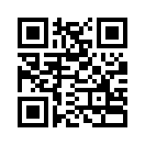 QR CODE 317