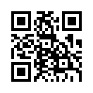 QR CODE 329