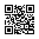 QR CODE 336