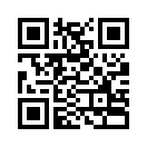 QR CODE 391