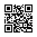 QR CODE 394