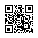 QR CODE 398