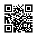 QR CODE 42