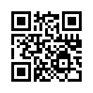 QR CODE 53