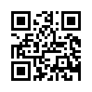 QR CODE 31