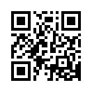 QR CODE 35