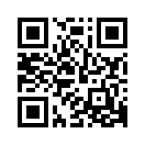 QR CODE 37