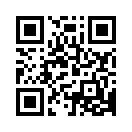 QR CODE 42