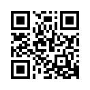 QR CODE 53