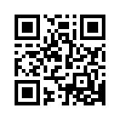 QR CODE 65