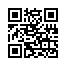 QR CODE 42