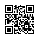 QR CODE 42