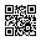 QR CODE 65