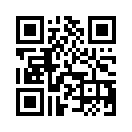 QR CODE 95